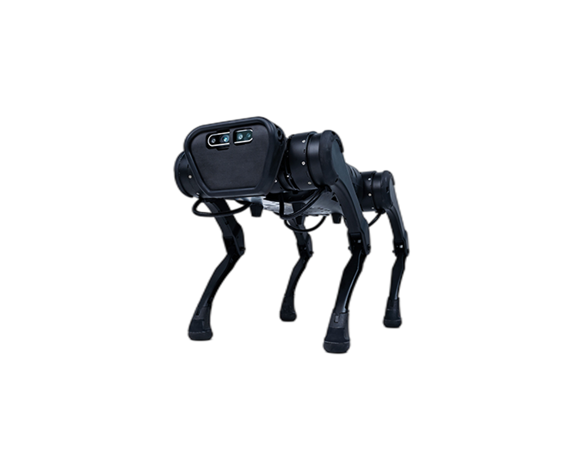A1