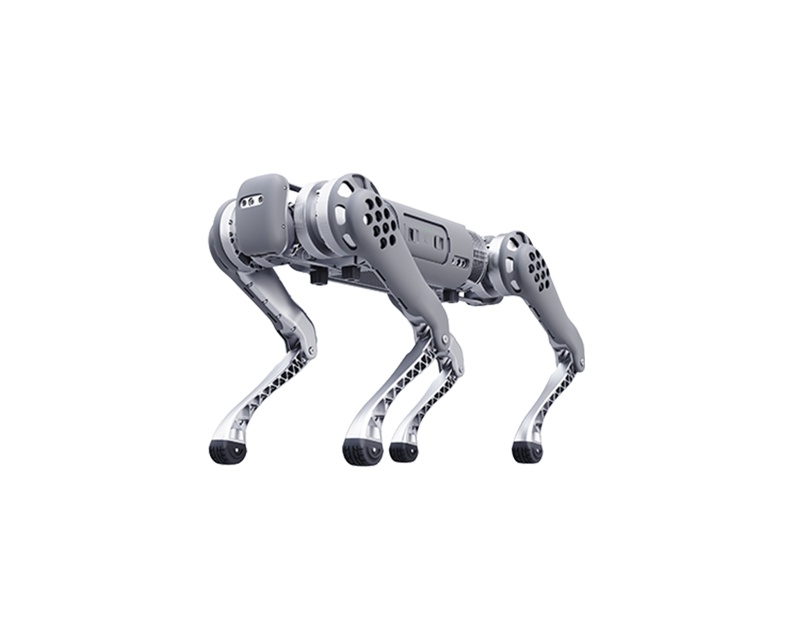 B1